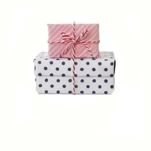 software para tiendas de regalos
